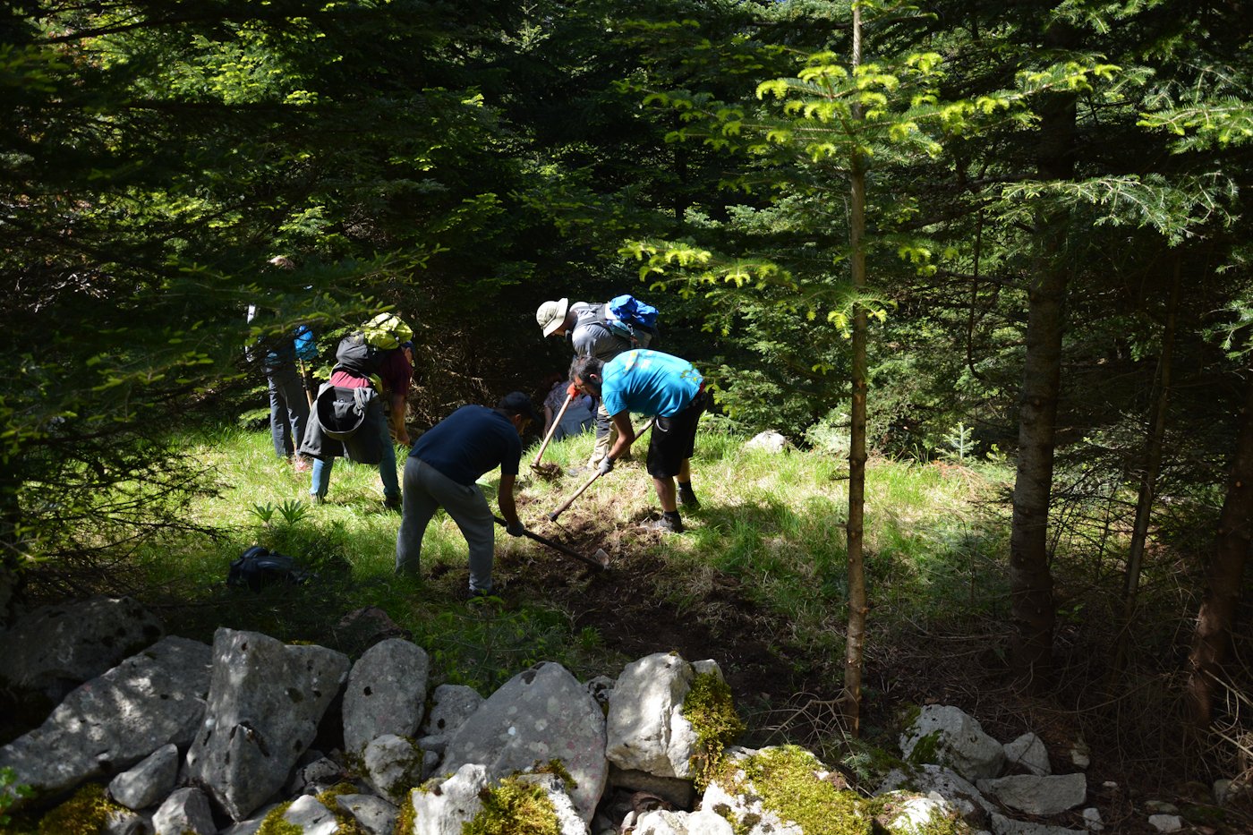 2-Day Volunteering program / path maintenance crossing Theodoriana