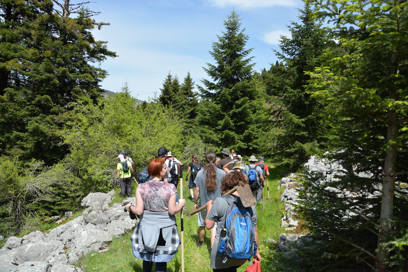 2-Day Volunteering program / path maintenance crossing Theodoriana