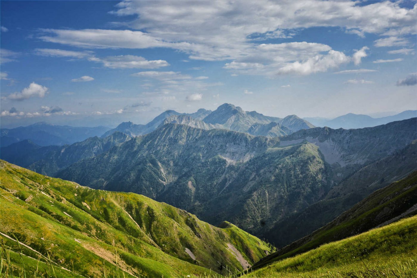 We Come From The Mountains