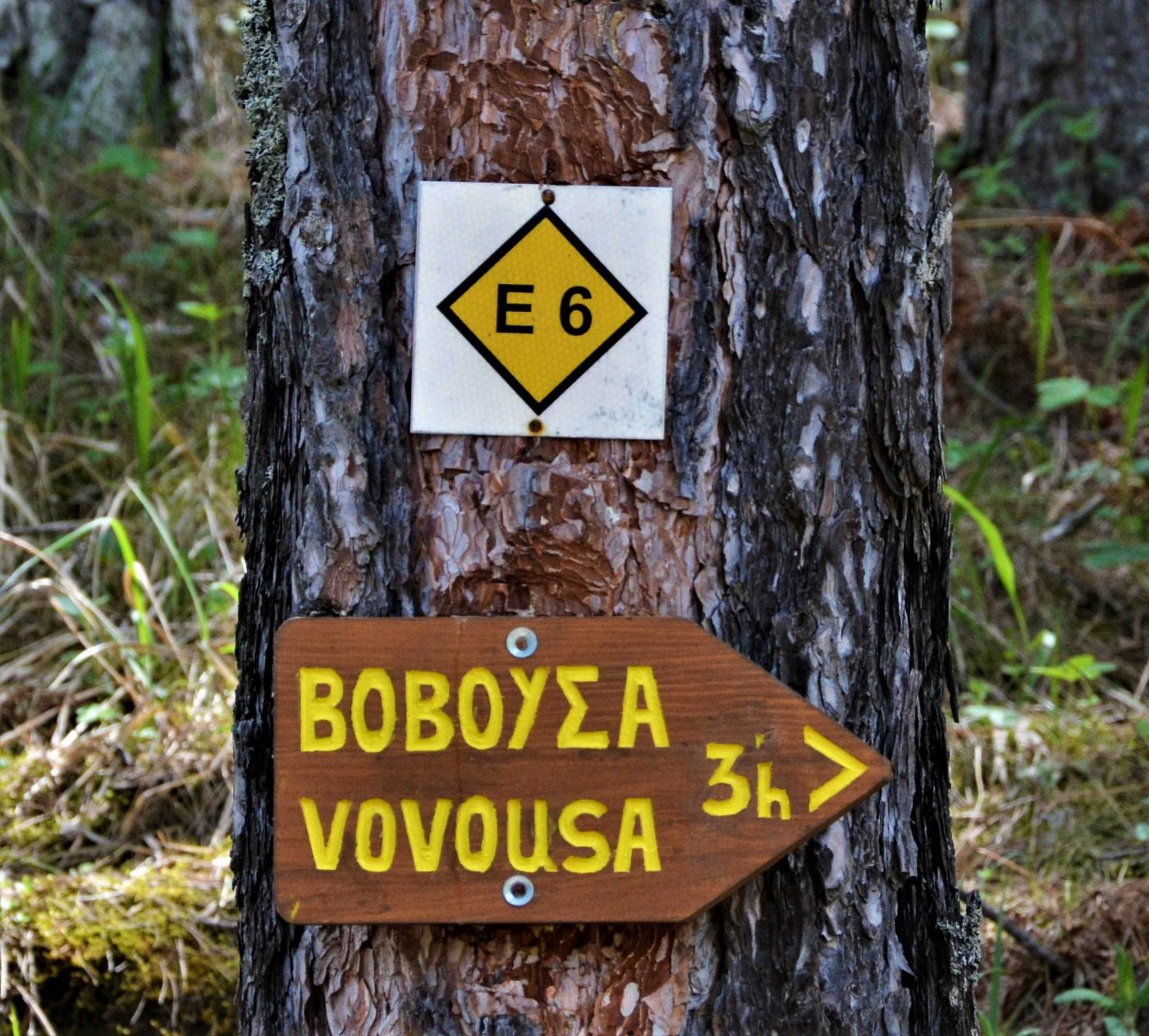 Marking Vovousa - Distrato - Samarina 30km / Pindus trail