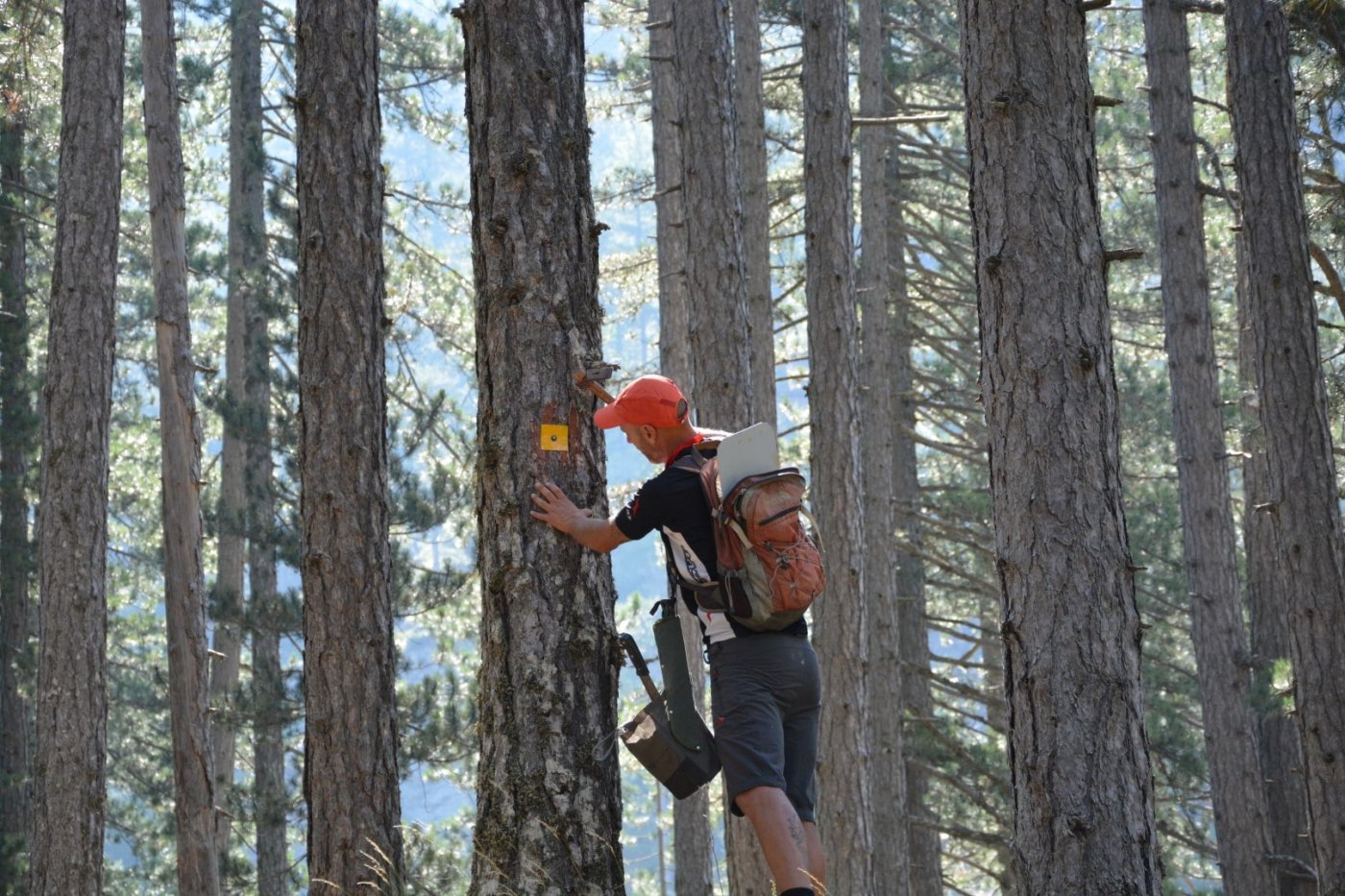 Vovousa - Valia Calda 12km > path maintenance