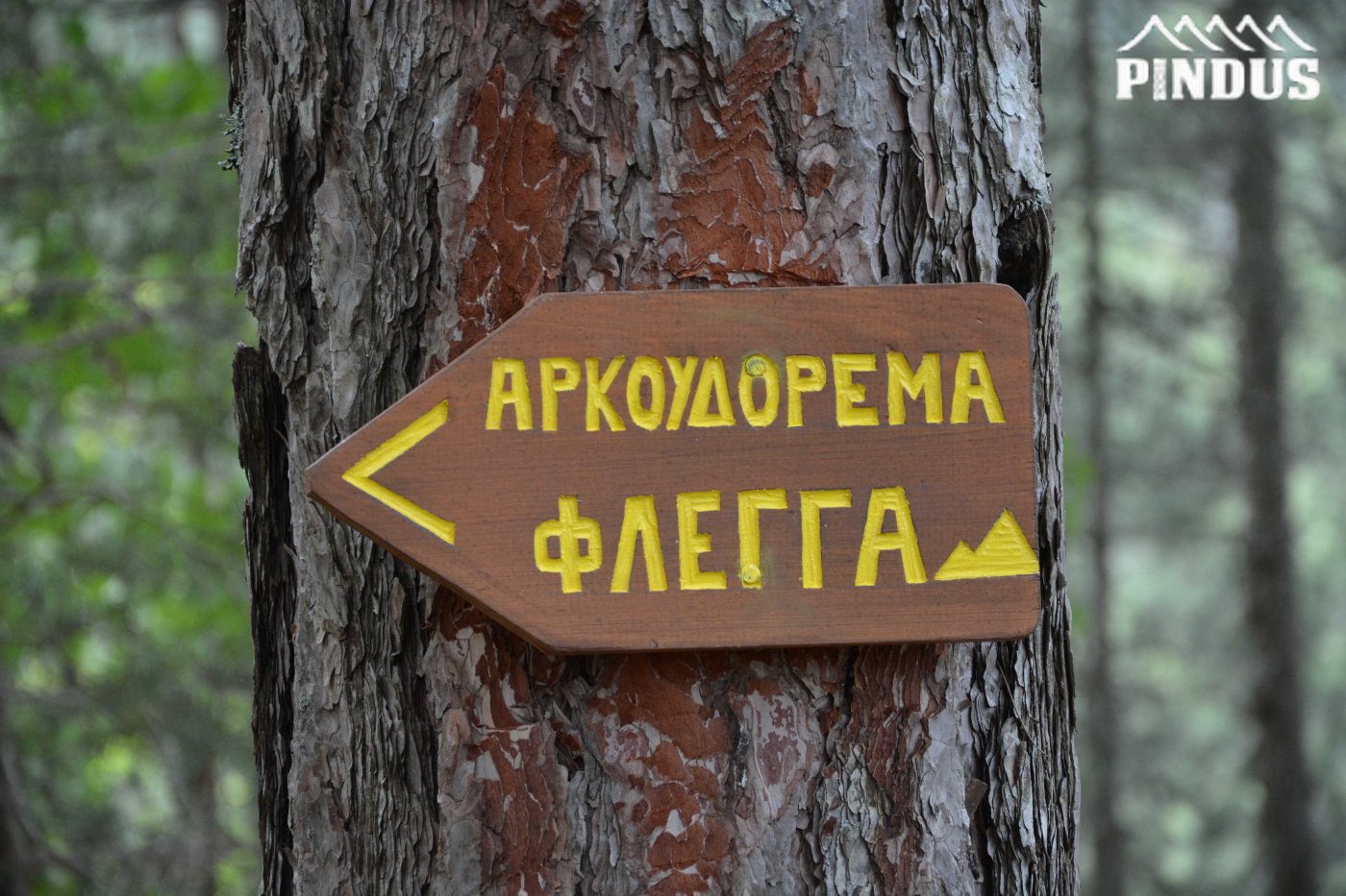 Βοβούσα - Σμιξώματα - Πυρήνας / Βάλια Κάλντα - Β. Πίνδος