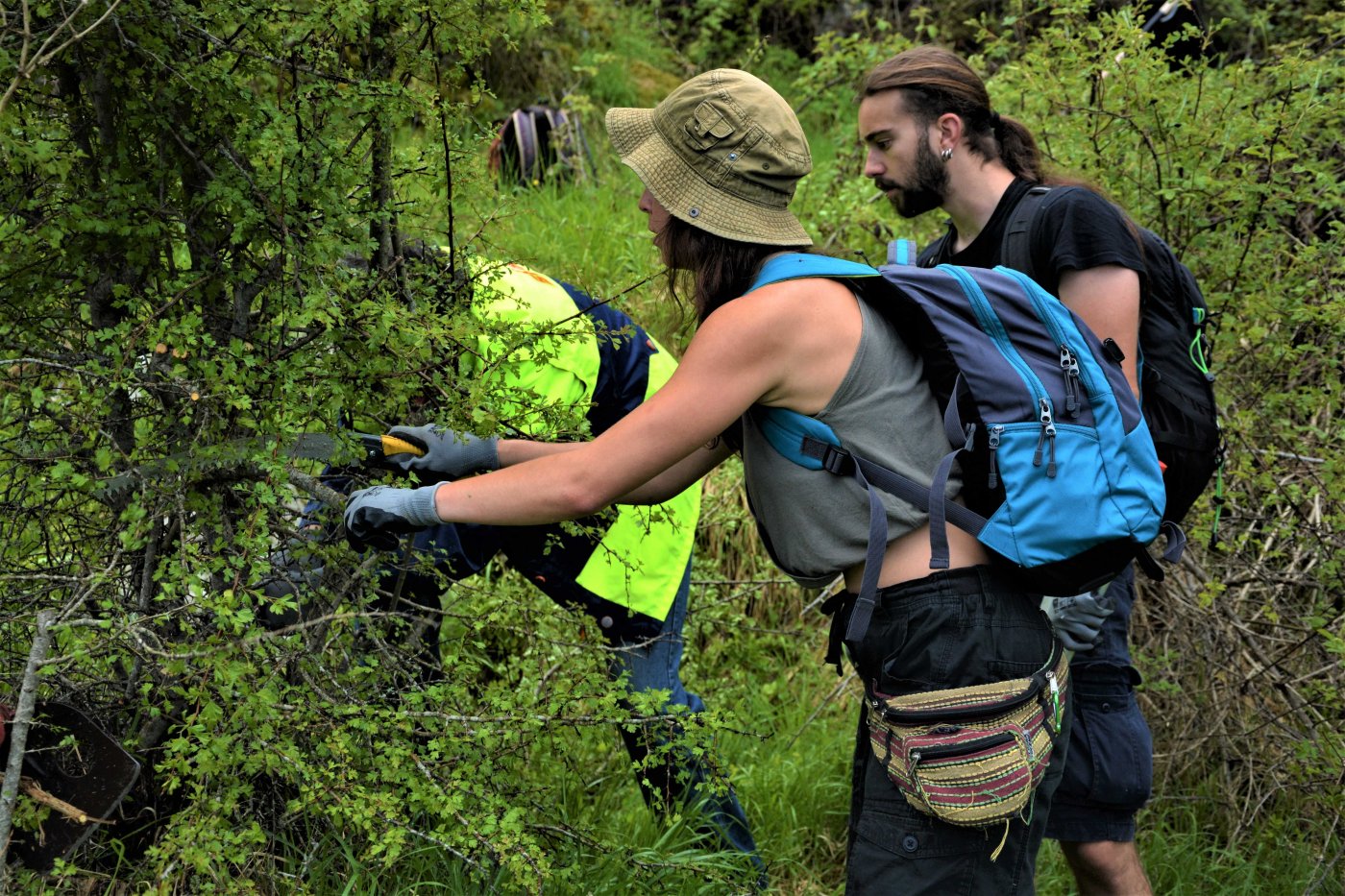 2-Day Volunteering program / path maintenance crossing Theodoriana