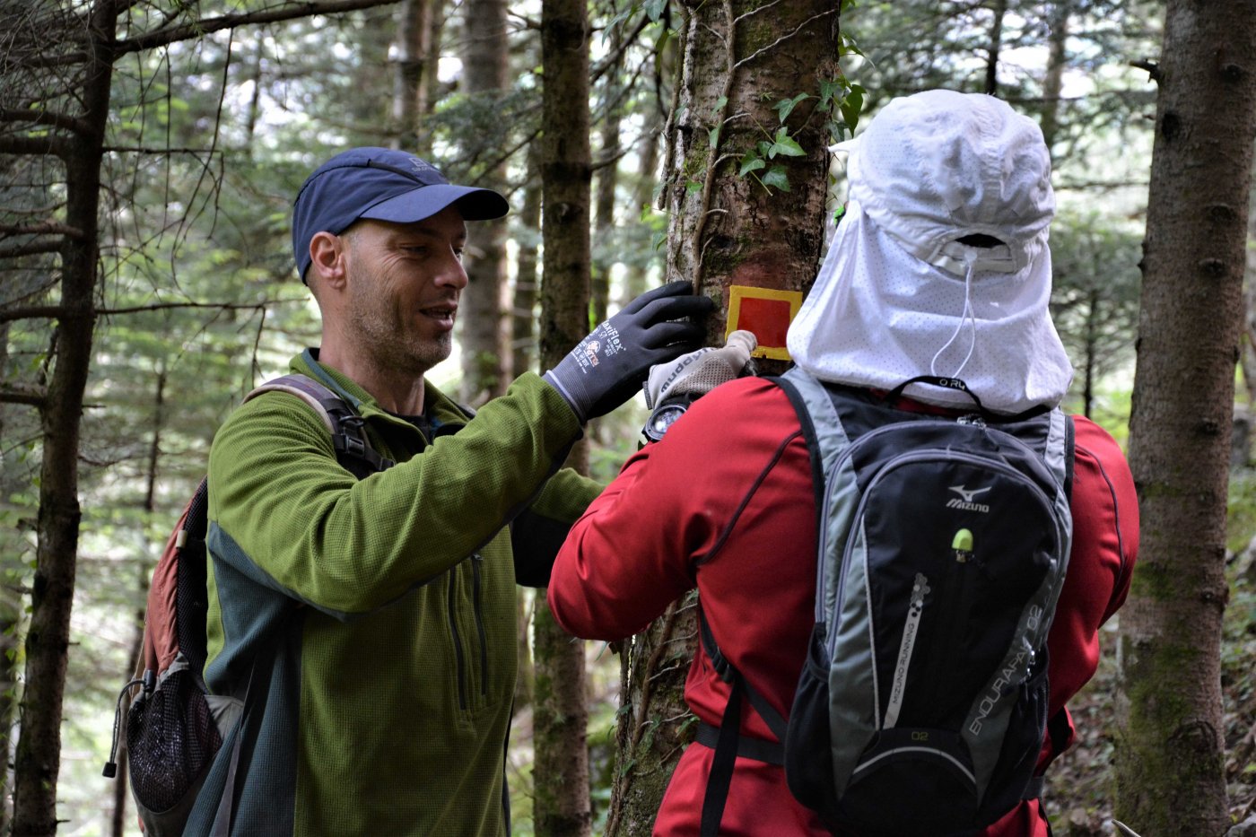 2-Day Volunteering program / path maintenance crossing Theodoriana