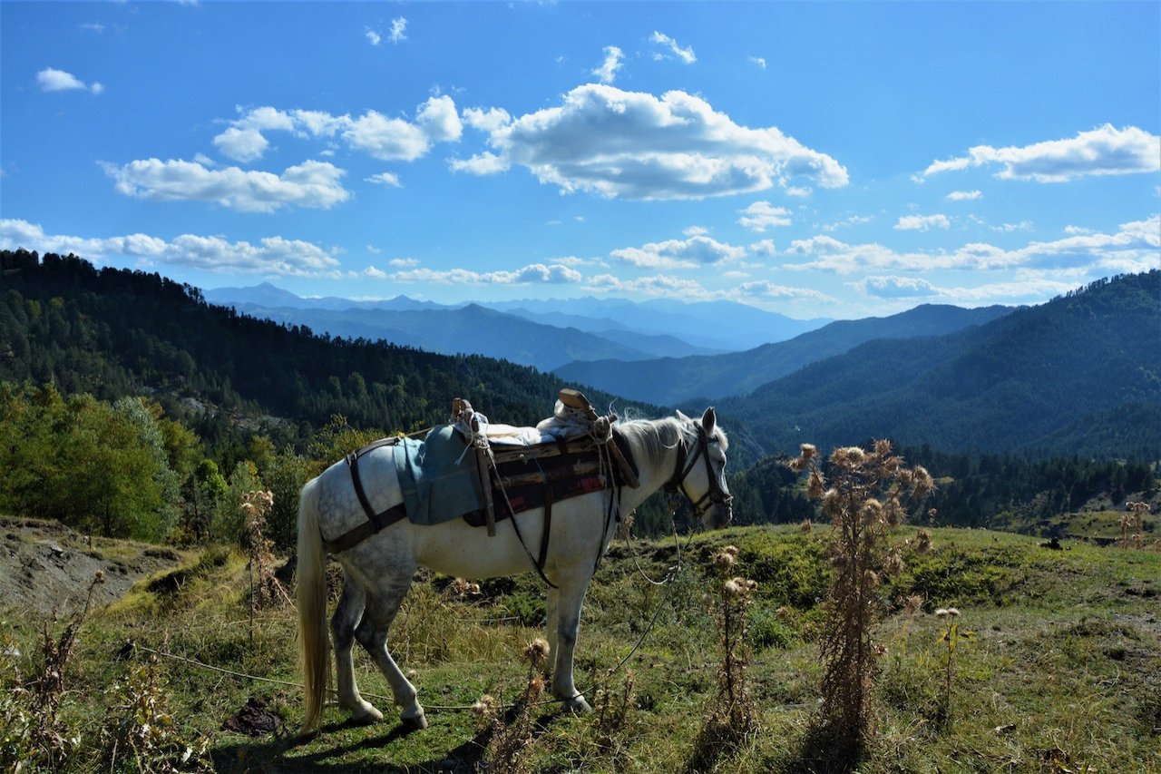 Locating the Pindus Trail paths stitching / Mt. Ochiro to Mt. Gramos / North Pindos Section