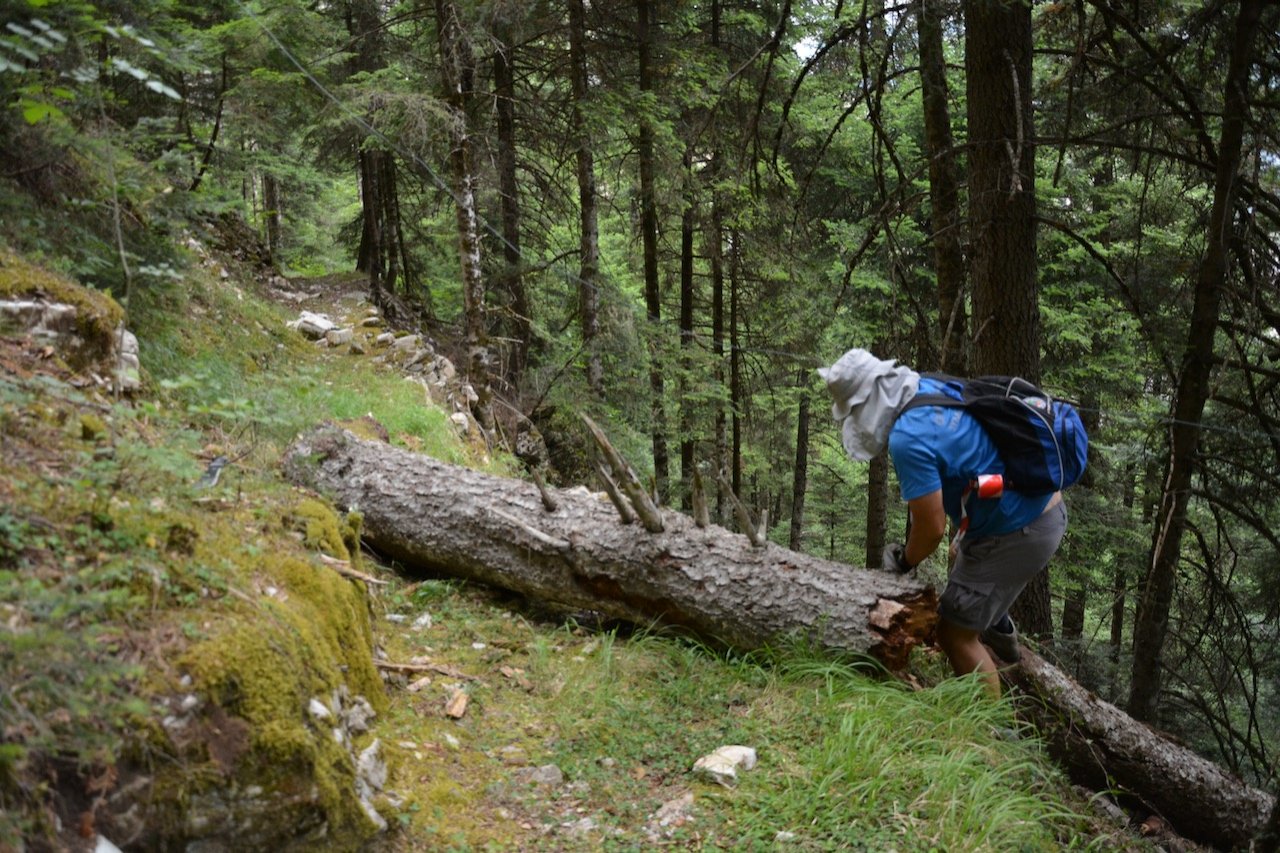 Evrytania / Domnista - Skopia - Roska - Kontiva 28km 