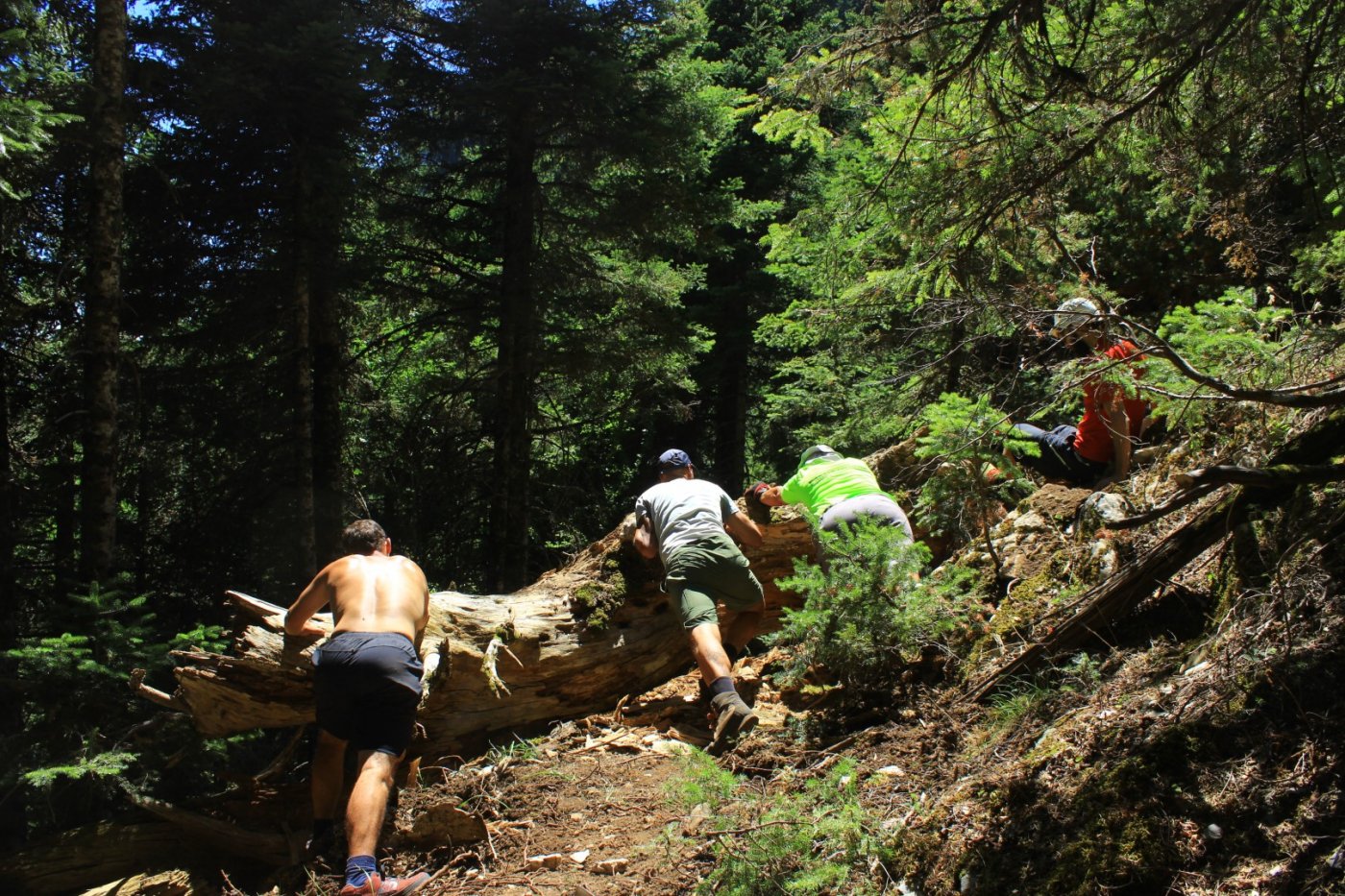 Evrytania / Domnista - Skopia - Roska - Kontiva 28km 