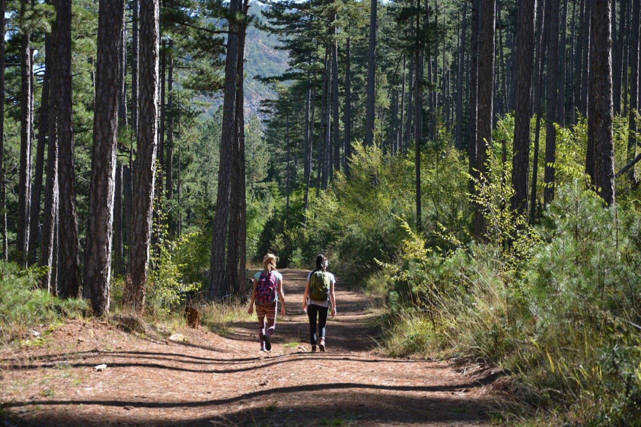 Vovousa - Valia Calda 12km > path maintenance