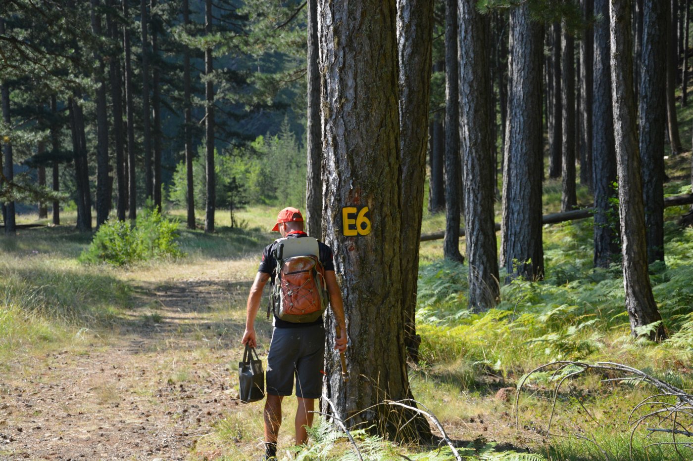 Vovousa - Valia Calda 12km > path maintenance