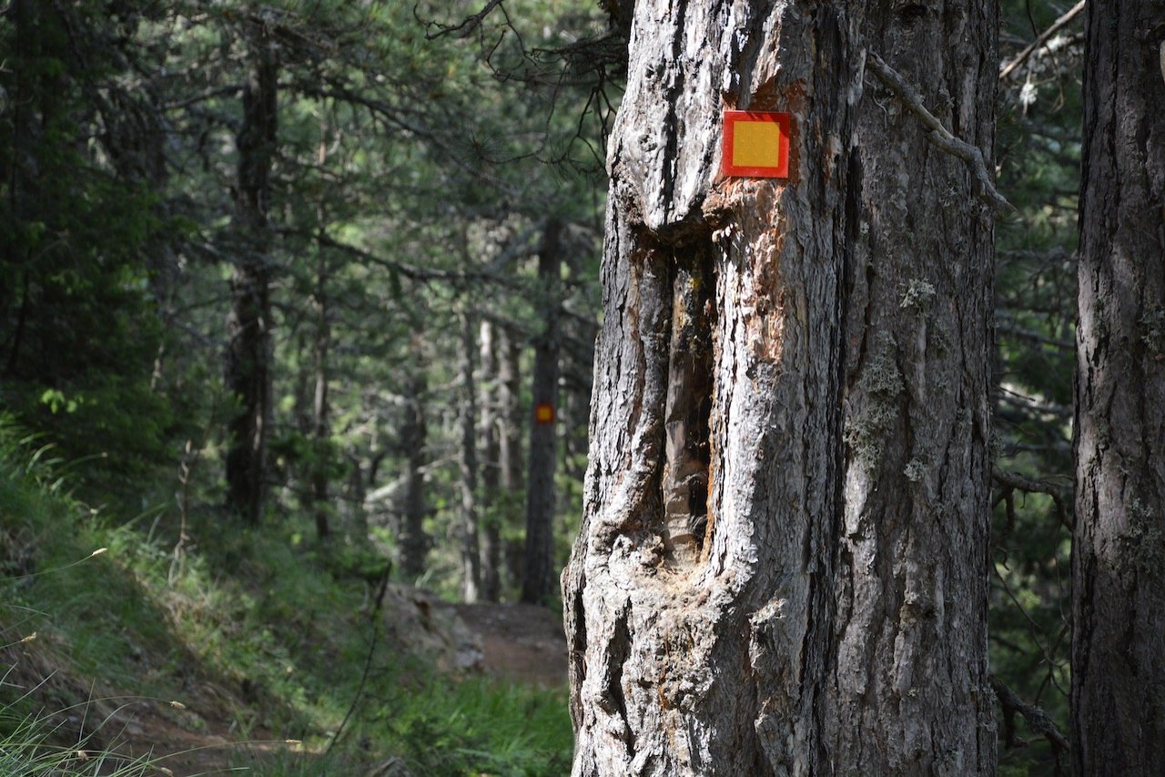 Marking Vovousa - Distrato - Samarina 30km / Pindus trail