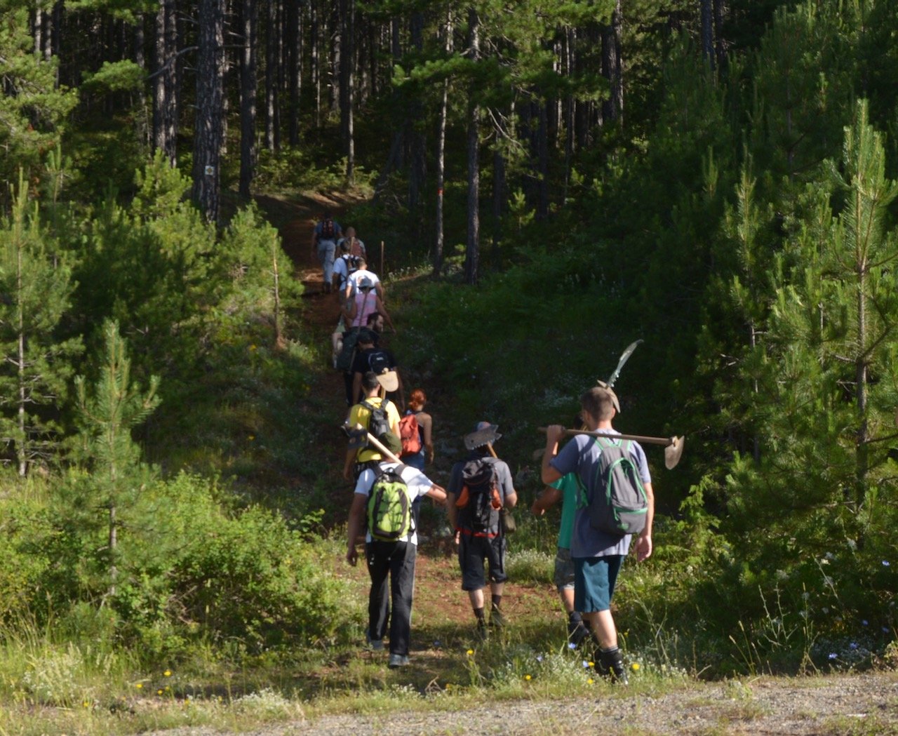 Conserving Distrato - Samarina forest path / North Pindos 