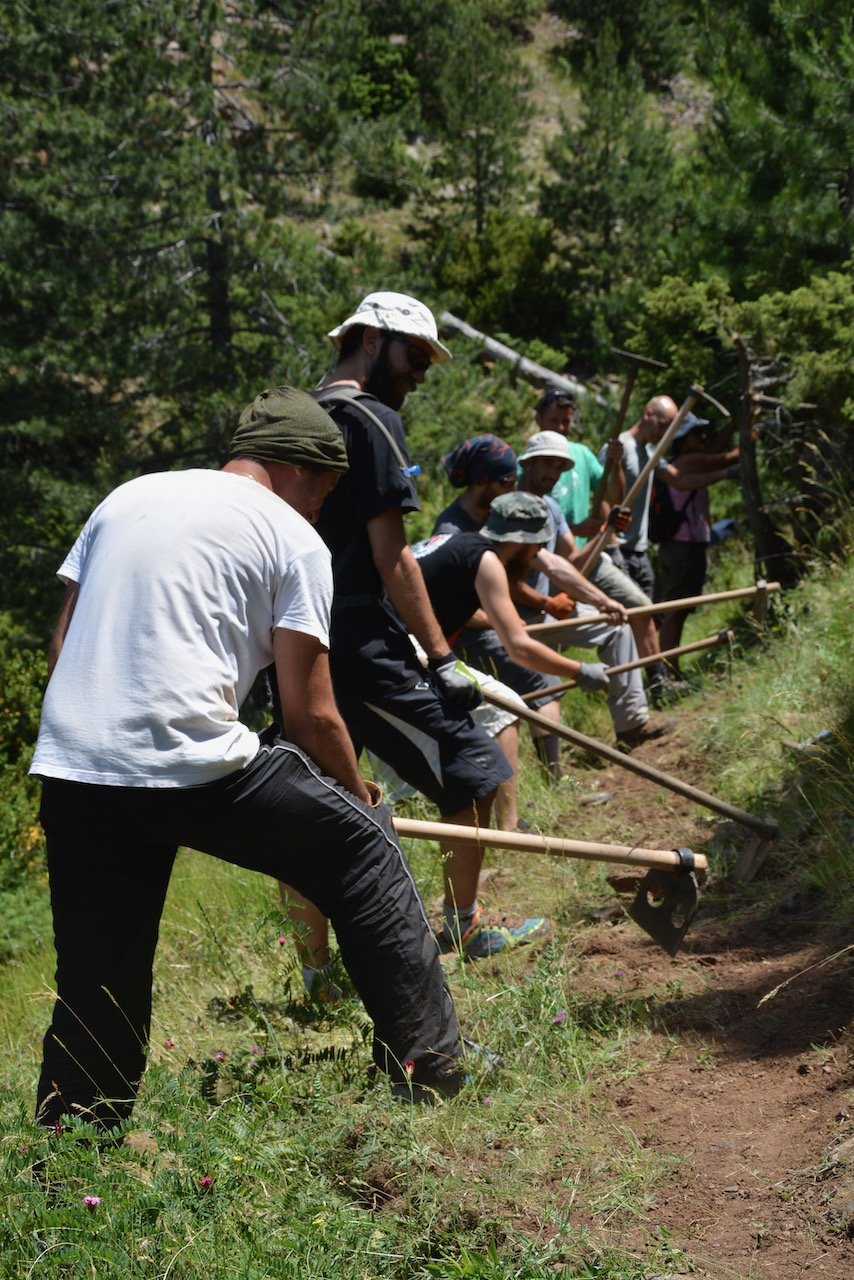 Conserving Distrato - Samarina forest path / North Pindos 