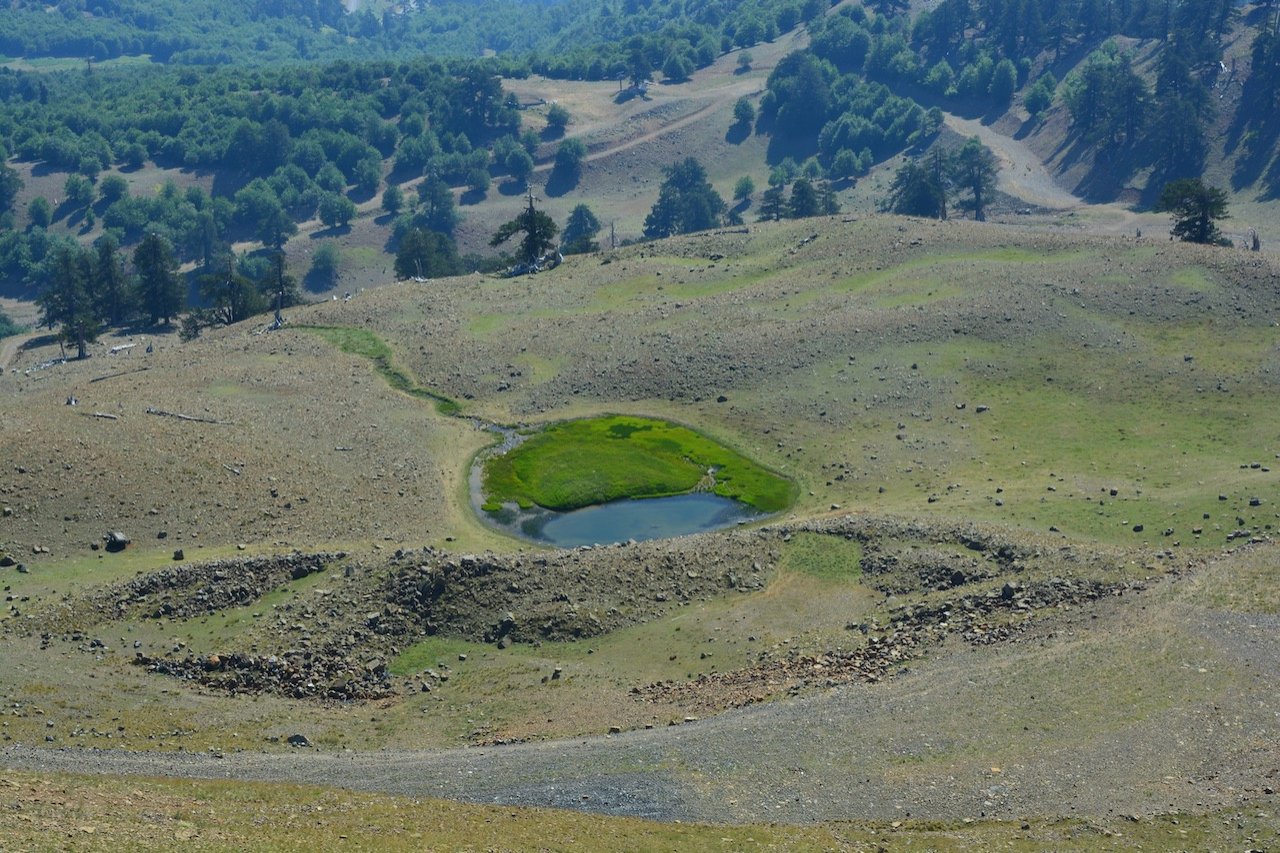 Conserving Distrato - Samarina forest path / North Pindos 