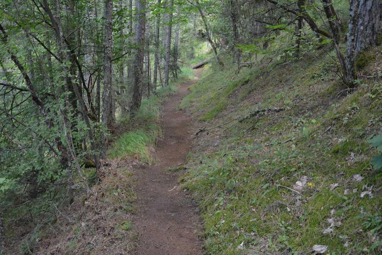 Βοβούσα - Δίστρατο - Σαμαρίνα / Ε6 - Β. Πίνδος / Pindus trail