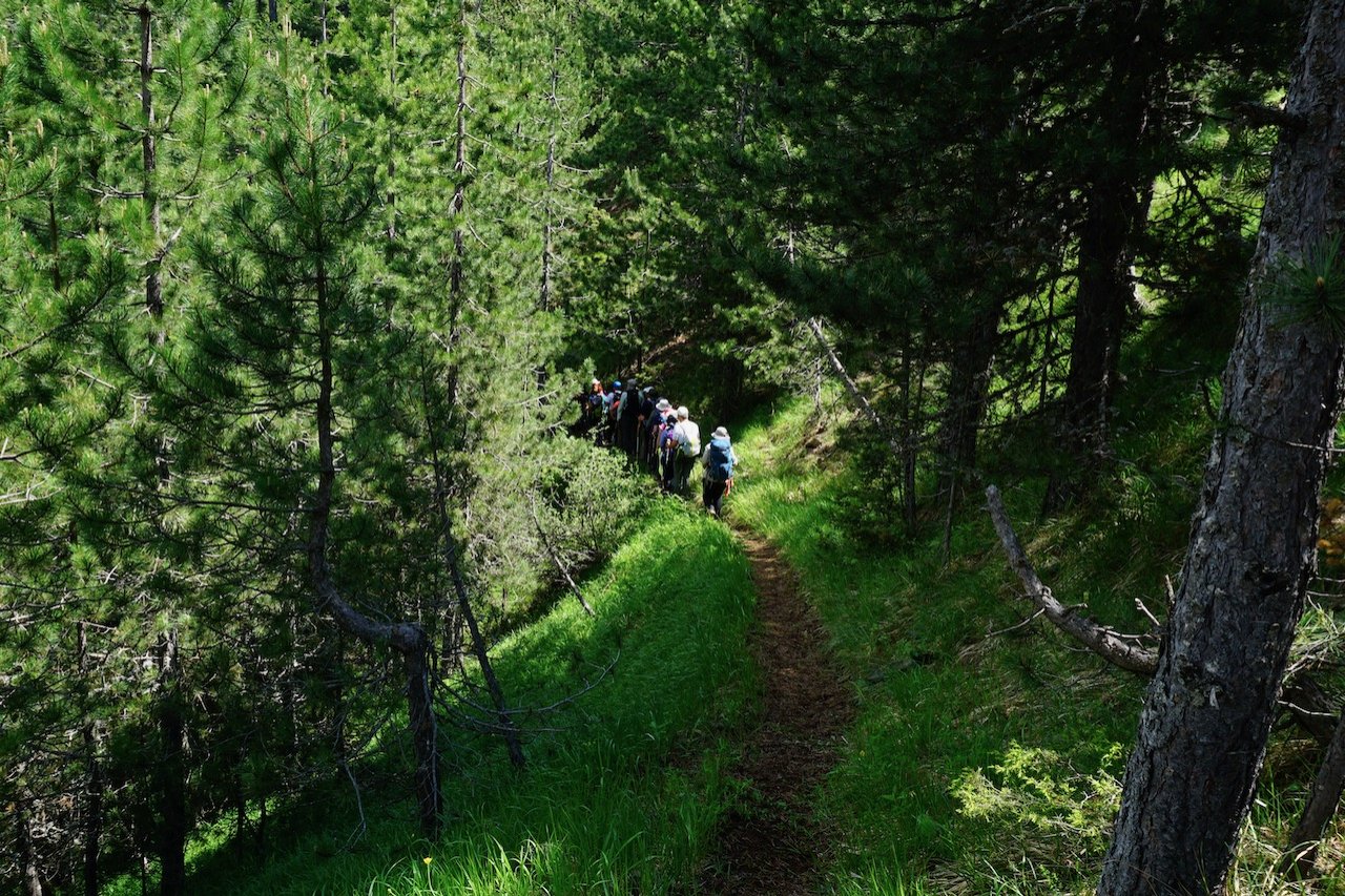 Marking Vovousa - Distrato - Samarina 30km / Pindus trail