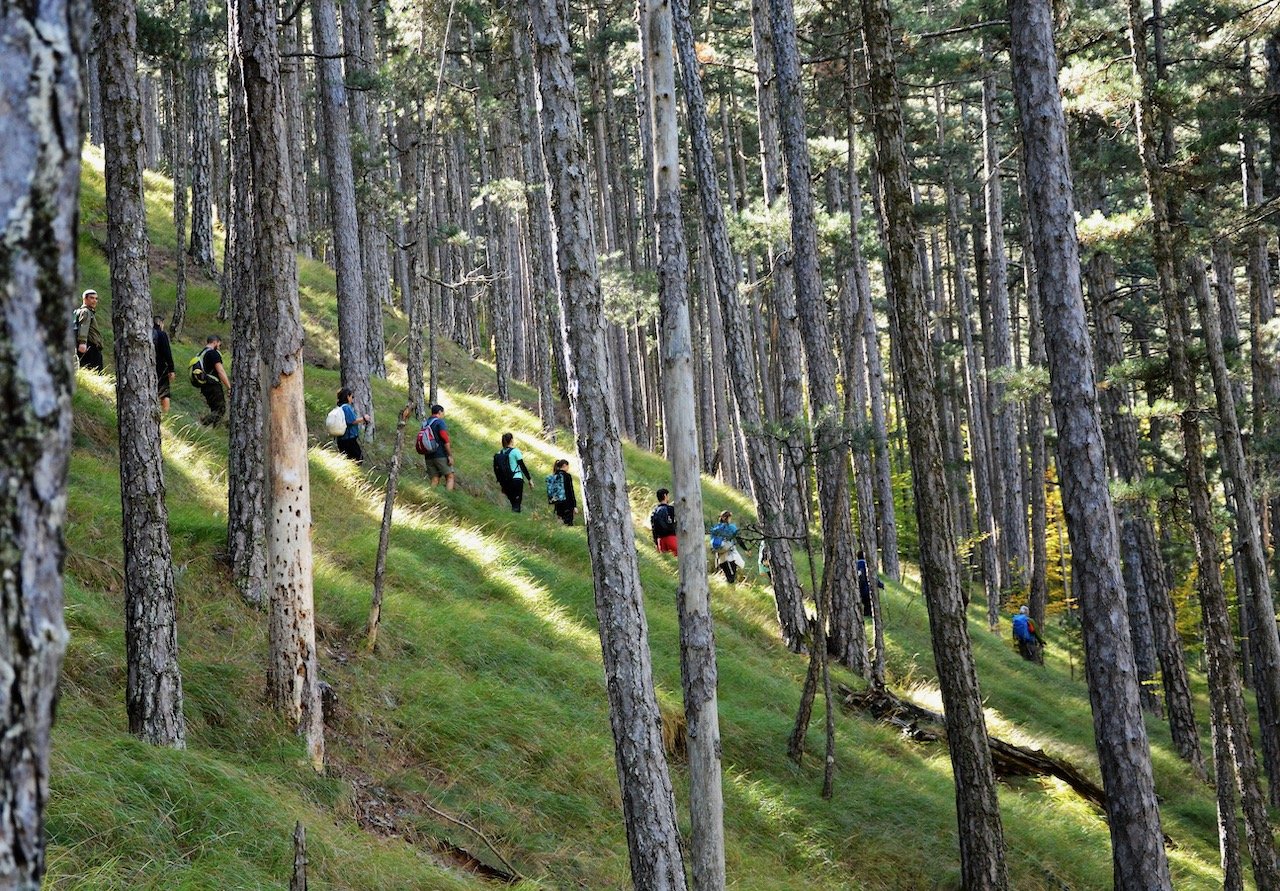 Vovousa - Valia Calda 12km > path maintenance