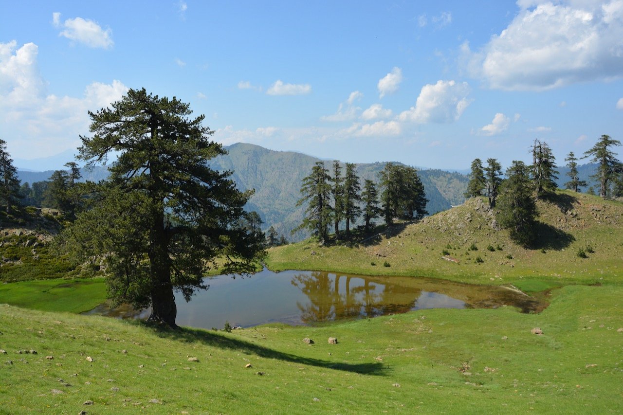 Vovousa - Valia Calda 12km > path maintenance