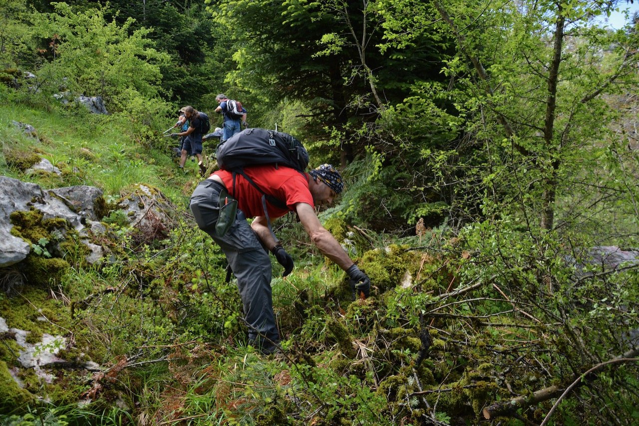 2-Day Volunteering program / path maintenance crossing Theodoriana