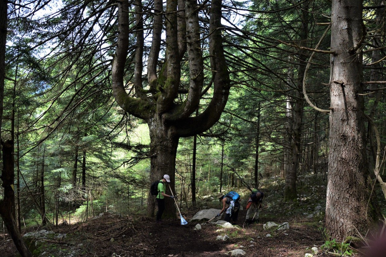 2-Day Volunteering program / path maintenance crossing Theodoriana