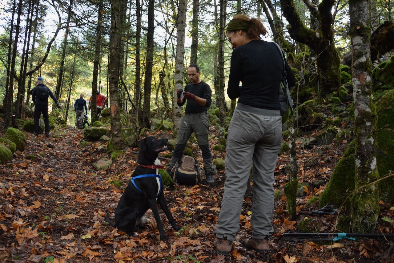 Evrytania, Domnista / 2 day volunteering program / path maintenance