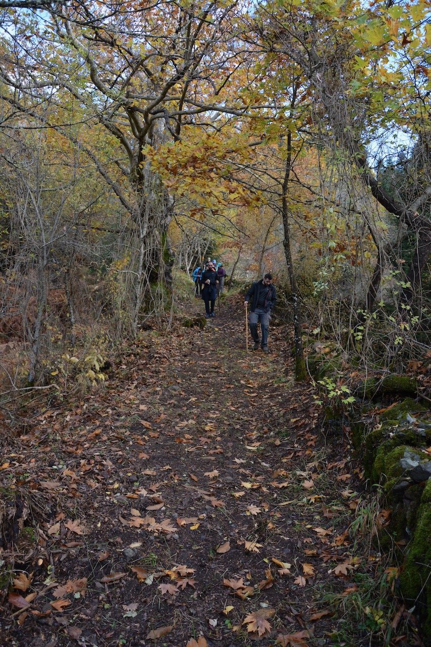 Evrytania, Domnista / 2 day volunteering program / path maintenance