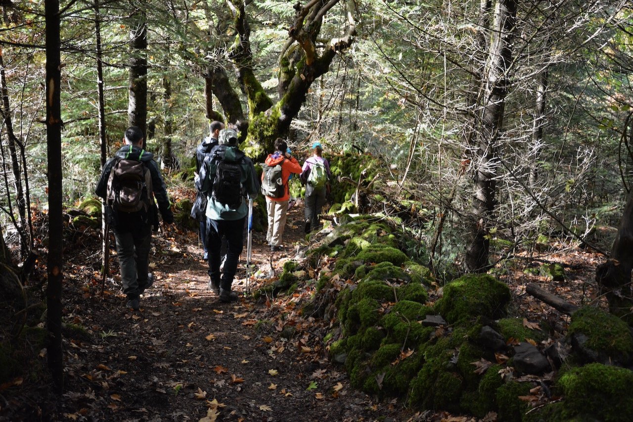 Evrytania, Domnista / 2 day volunteering program / path maintenance