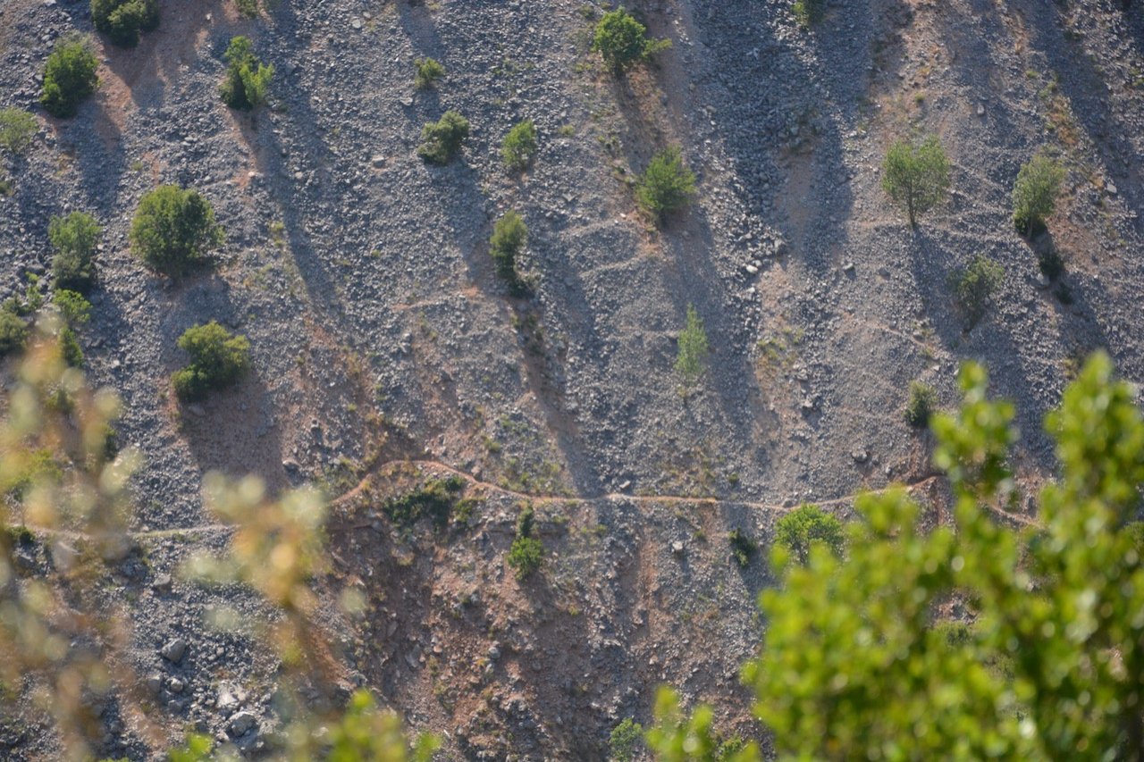 Evrytania / Domnista - Skopia - Roska - Kontiva 28km 