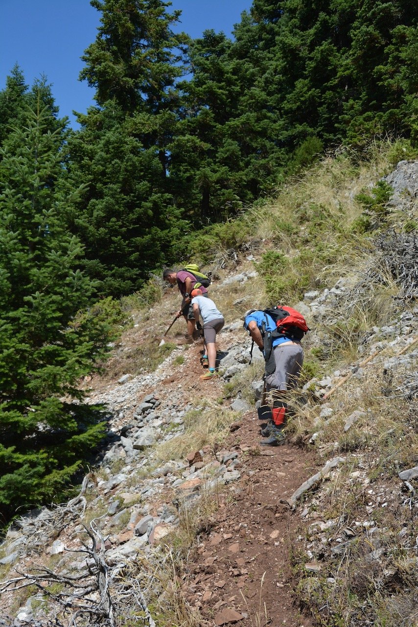 Evrytania / Domnista - Skopia - Roska - Kontiva 28km 