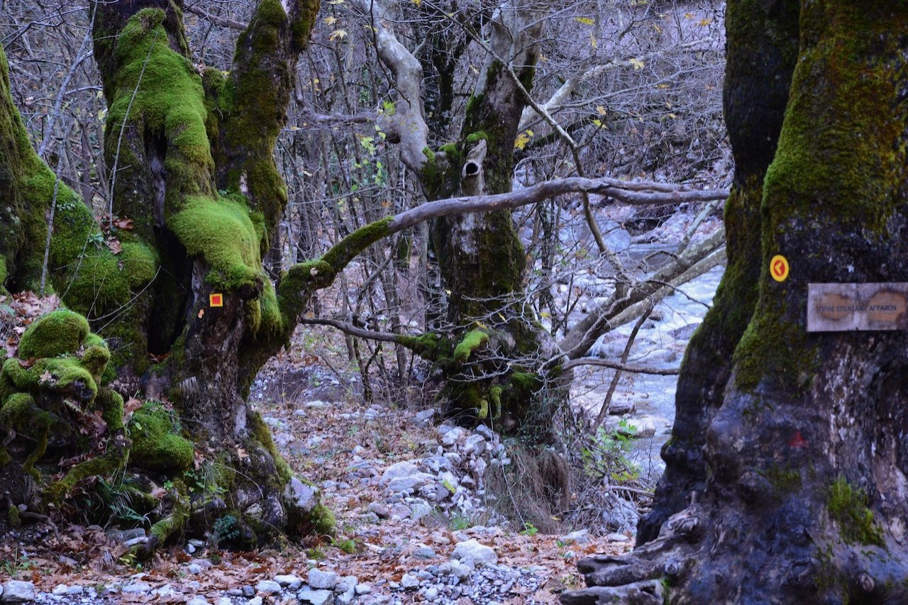 Western Agrafa, / Agrafiotis river (Karvasaras) - Epiniana - Asprorema 14km / Central Pindos