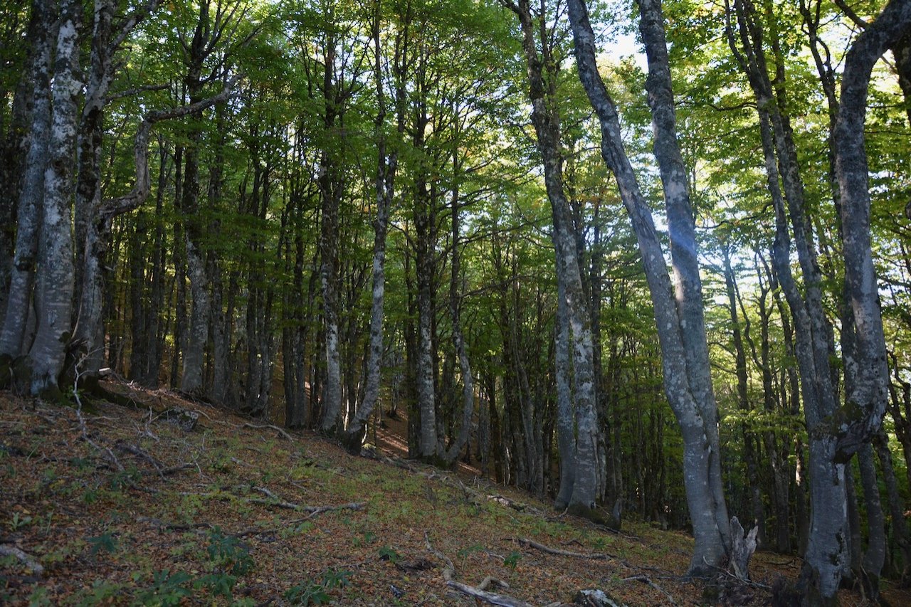 Locating the Pindus Trail paths stitching / Mt. Ochiro to Mt. Gramos / North Pindos Section