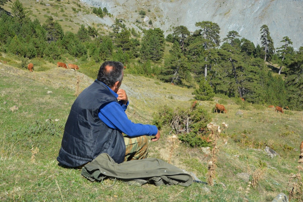 Locating the Pindus Trail paths stitching / Mt. Ochiro to Mt. Gramos / North Pindos Section