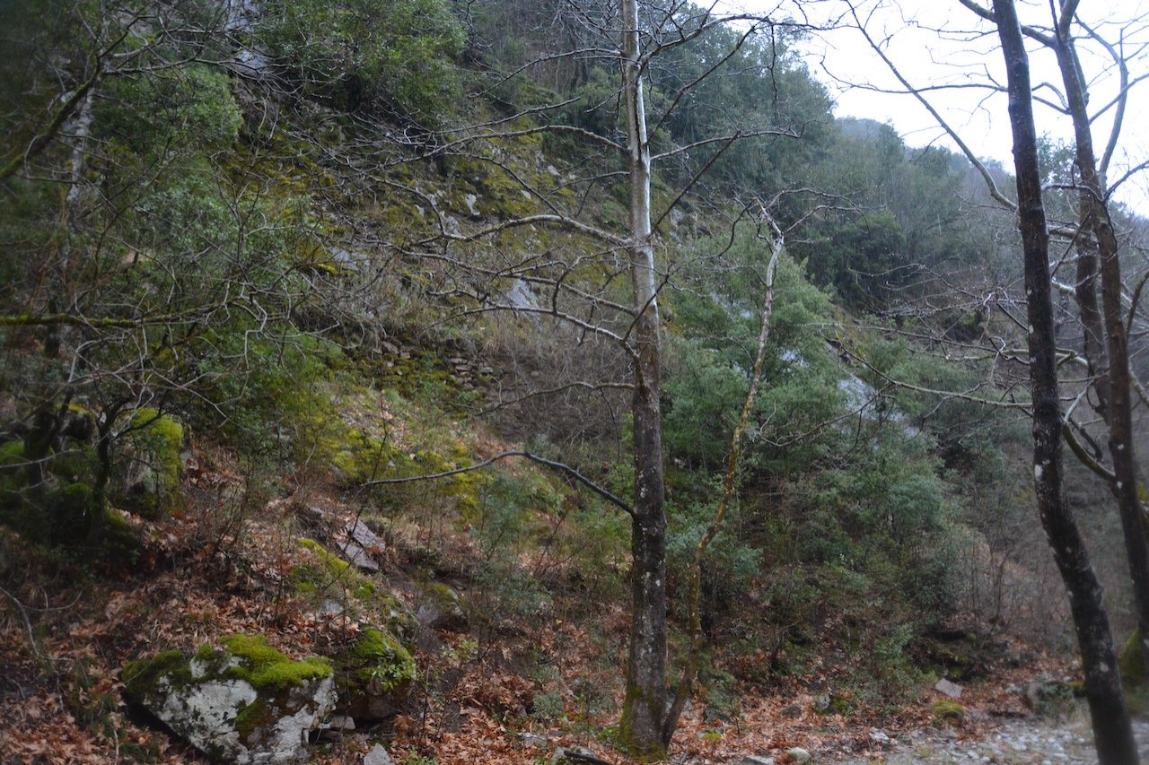 North Agrafa, Argithea / Locating the old path / Kali Komi to Korakonisi stone bridge 