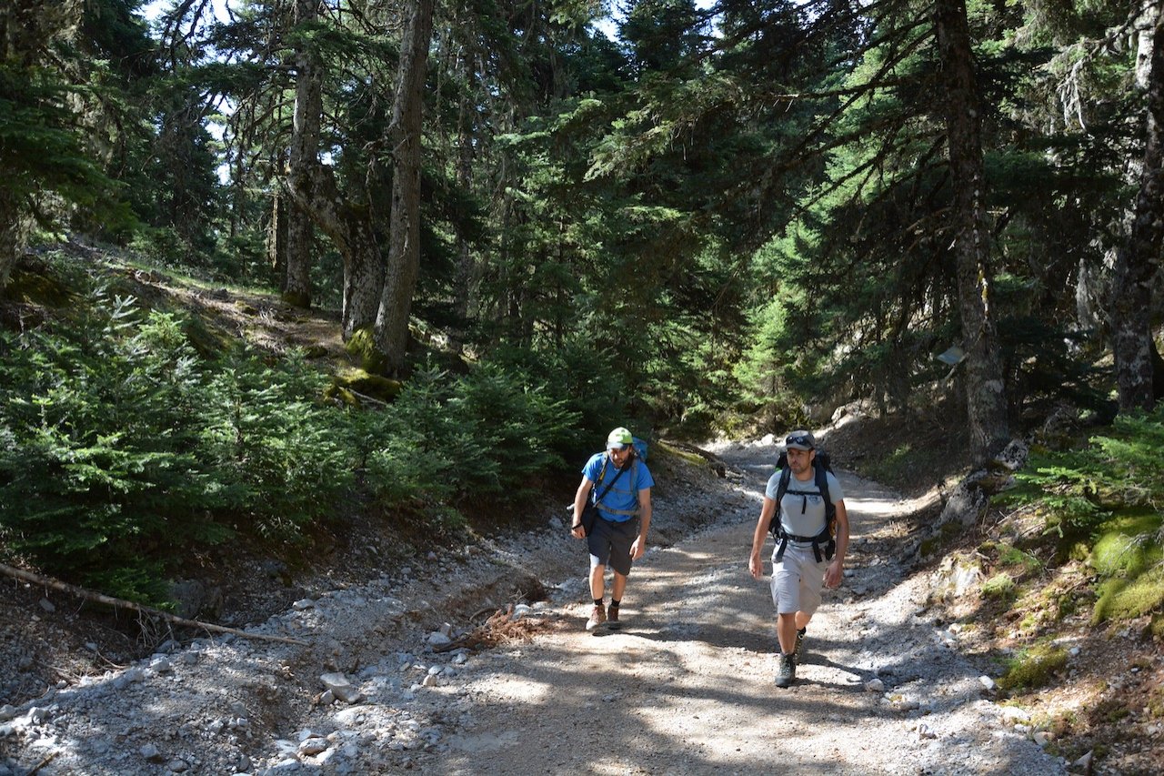 Pindus Trail scouting / paths from Amfissa to Ghiona