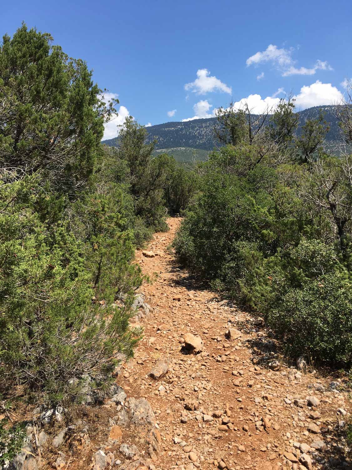 Locating the complete single trail crossing between Delphi - Amfissa