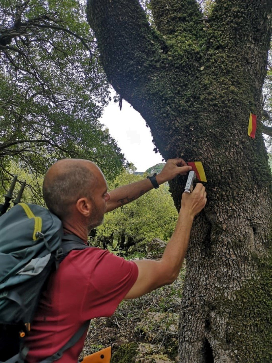 Agrafa - Argithea / scouting & marking old paths / Pindus trail