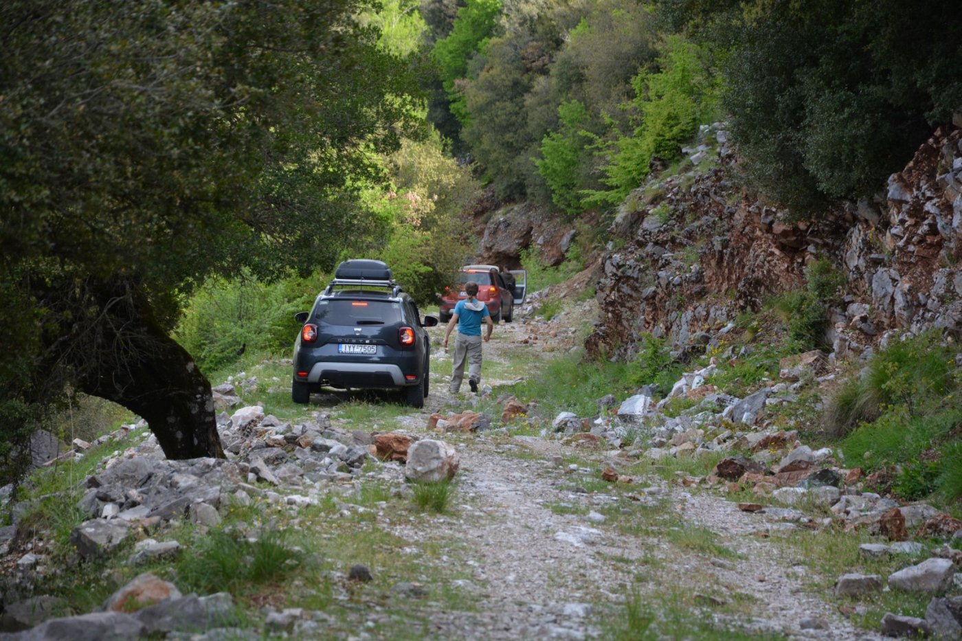 Εντοπισμός, σύνθεση & καταγραφή μονοπατιών για τη χάραξη ενιαίας διαδρομής διάσχισης στα όρια του Δήμου Αργιθέας