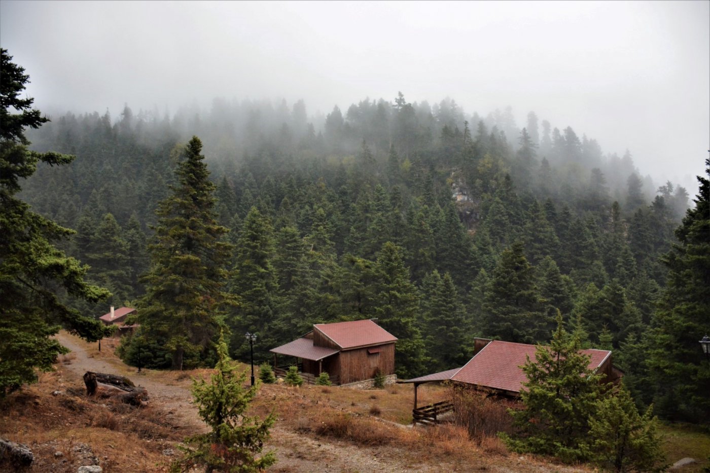 Giona mt / Start of a 2 months volunteering camp / Opening & digging the Pindus trail stitching paths