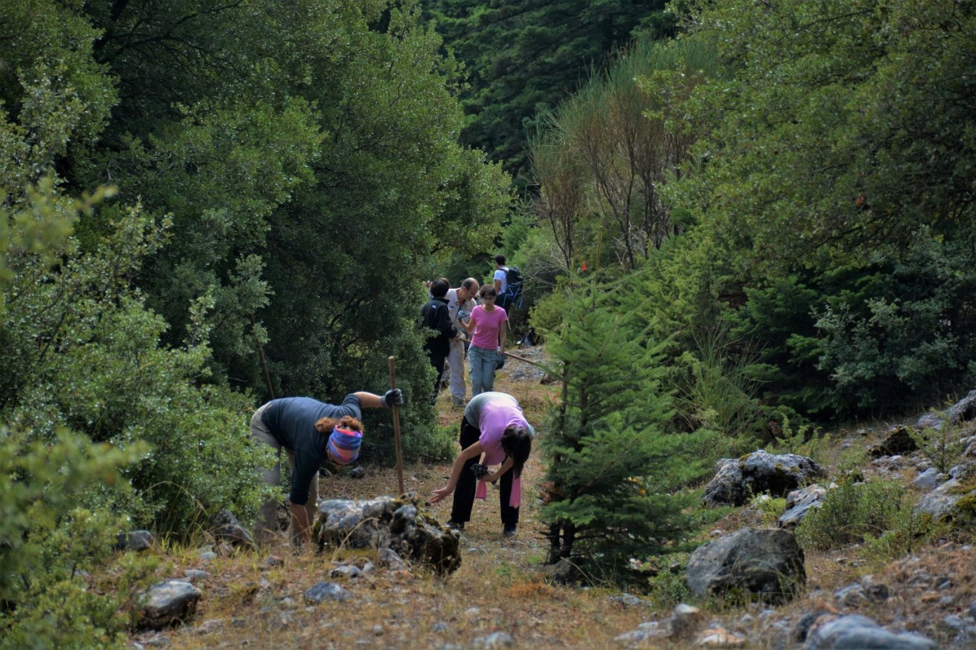 Giona mt / Start of a 2 months volunteering camp / Opening & digging the Pindus trail stitching paths