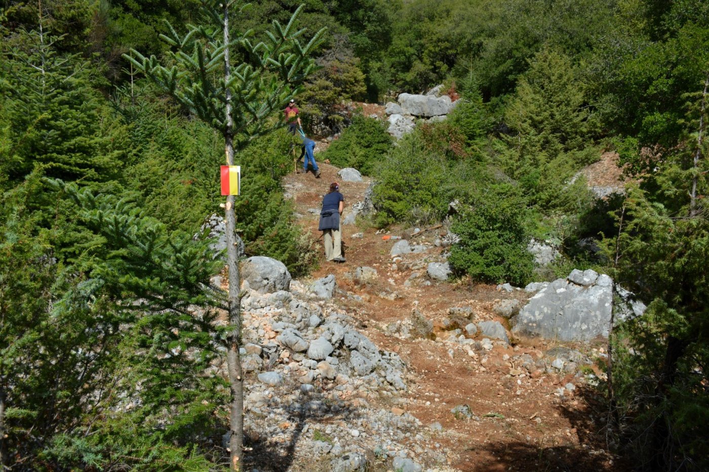 Giona mt / Start of a 2 months volunteering camp / Opening & digging the Pindus trail stitching paths