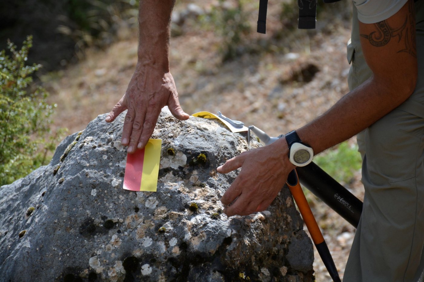 Giona mt / Start of a 2 months volunteering camp / Opening & digging the Pindus trail stitching paths