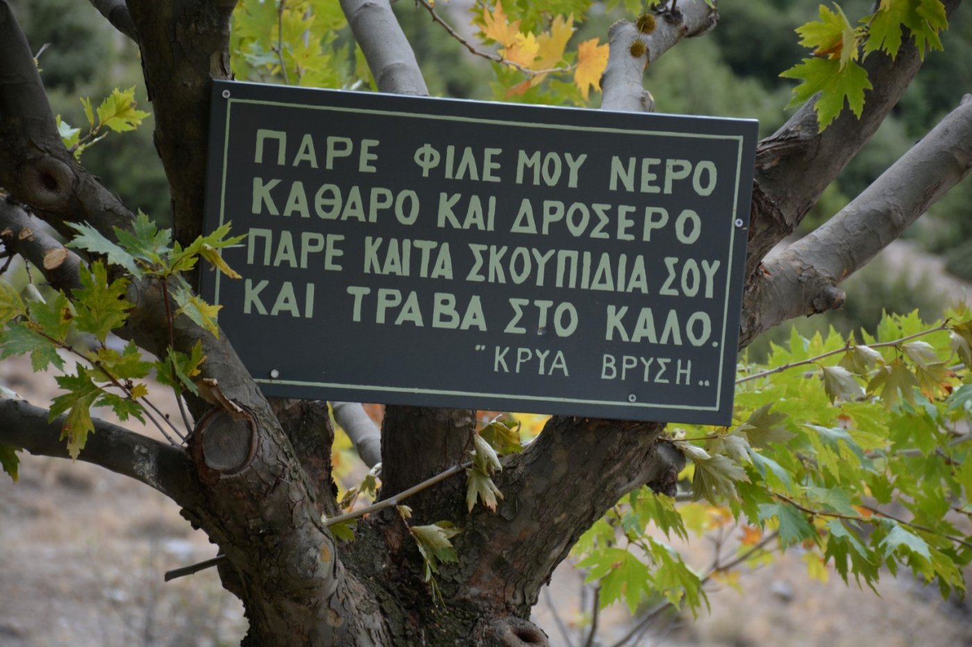 Γκιώνα / Έναρξη εθελοντικών δράσεων στη σύνθεση του μονοπατιού, Άμφισσα - Λιανοκλάδι - Δ.Χ. Καψίτσας - Προσήλιο. 