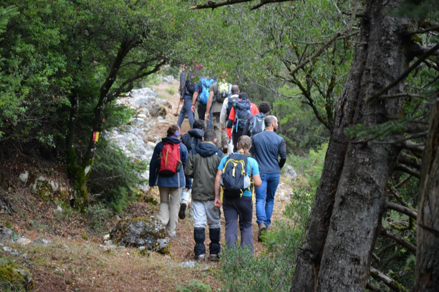 Γκιώνα / Έναρξη εθελοντικών δράσεων στη σύνθεση του μονοπατιού, Άμφισσα - Λιανοκλάδι - Δ.Χ. Καψίτσας - Προσήλιο. 