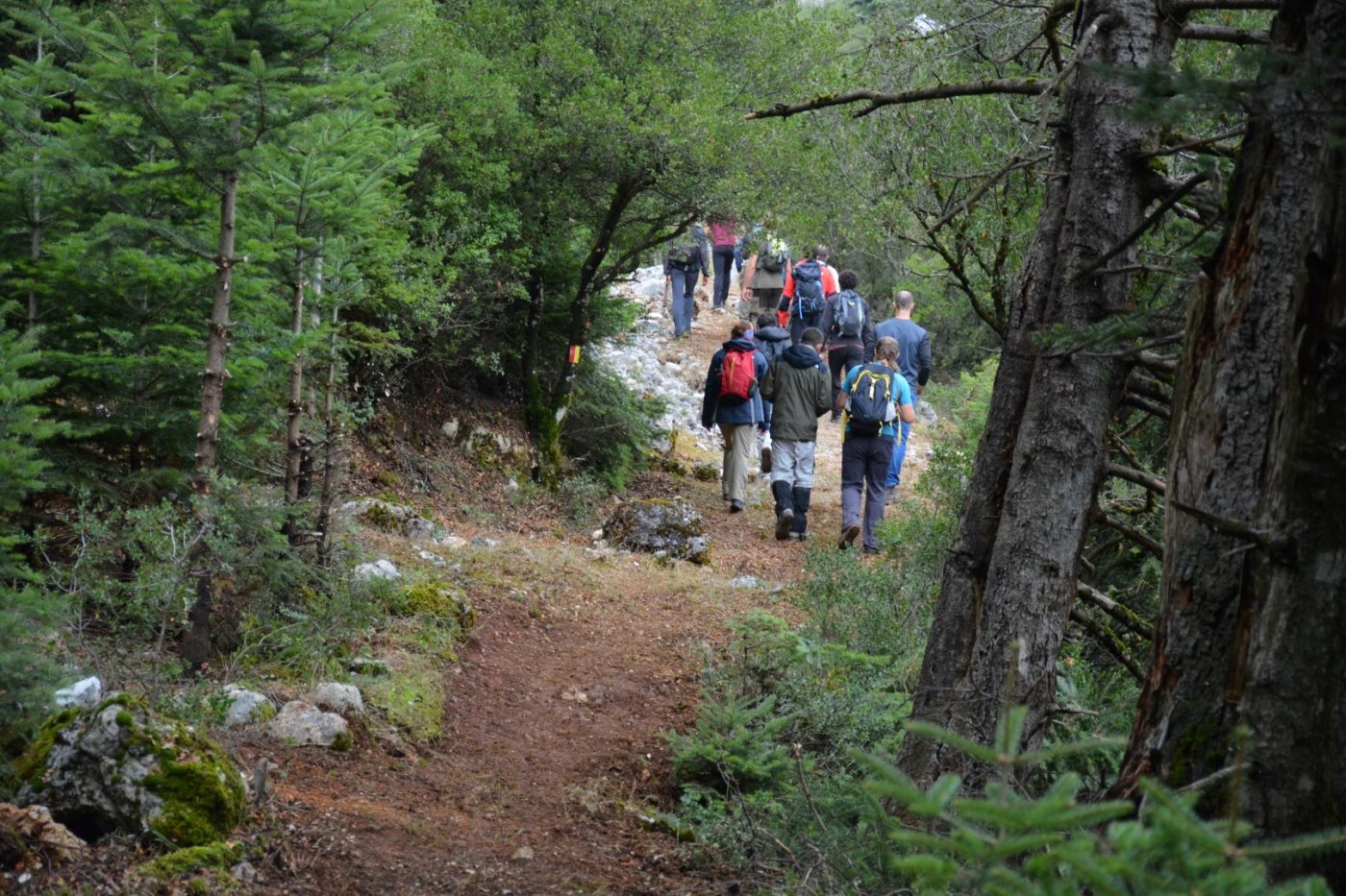 Giona mt / Start of a 2 months volunteering camp / Opening & digging the Pindus trail stitching paths