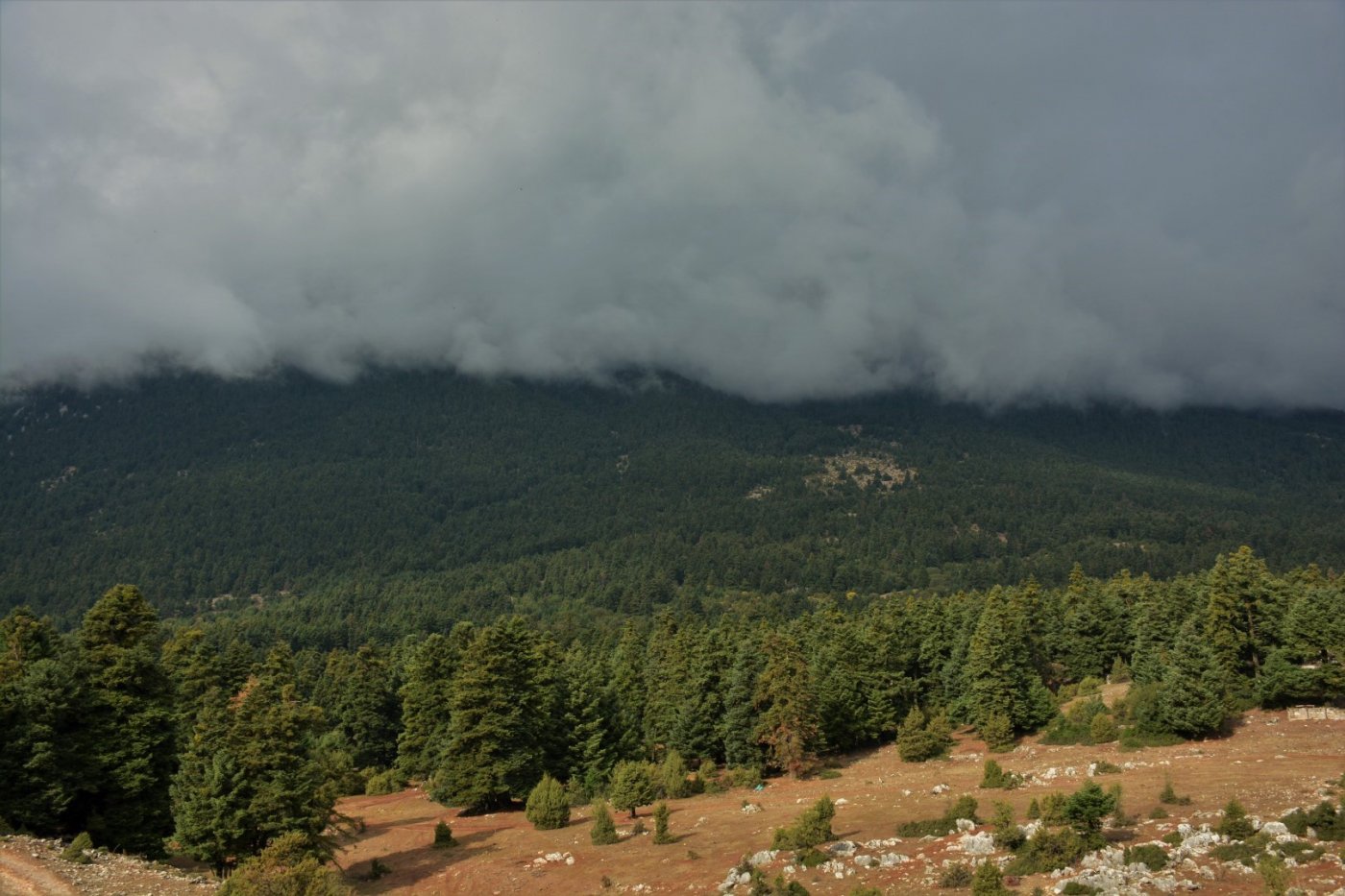 Giona mt / Start of a 2 months volunteering camp / Opening & digging the Pindus trail stitching paths