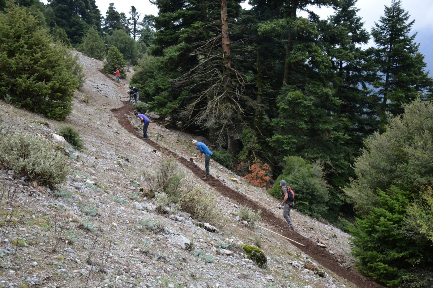 Giona mt / Start of a 2 months volunteering camp / Opening & digging the Pindus trail stitching paths