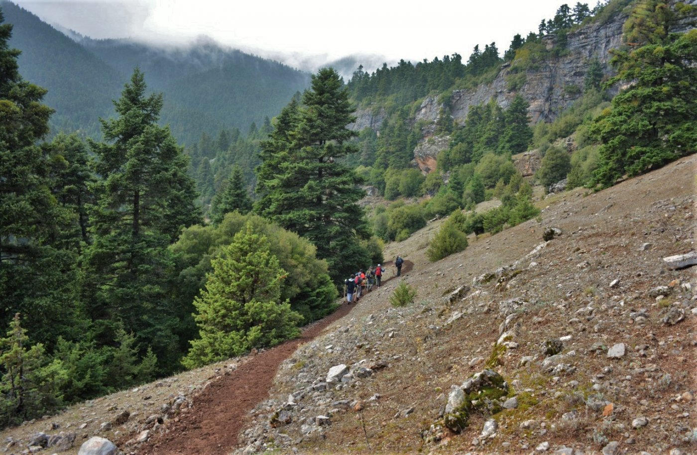 Giona mt / Start of a 2 months volunteering camp / Opening & digging the Pindus trail stitching paths