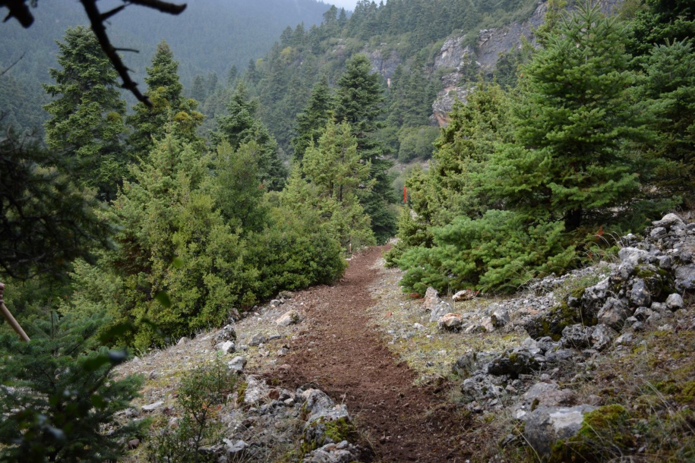 Giona mt / Start of a 2 months volunteering camp / Opening & digging the Pindus trail stitching paths