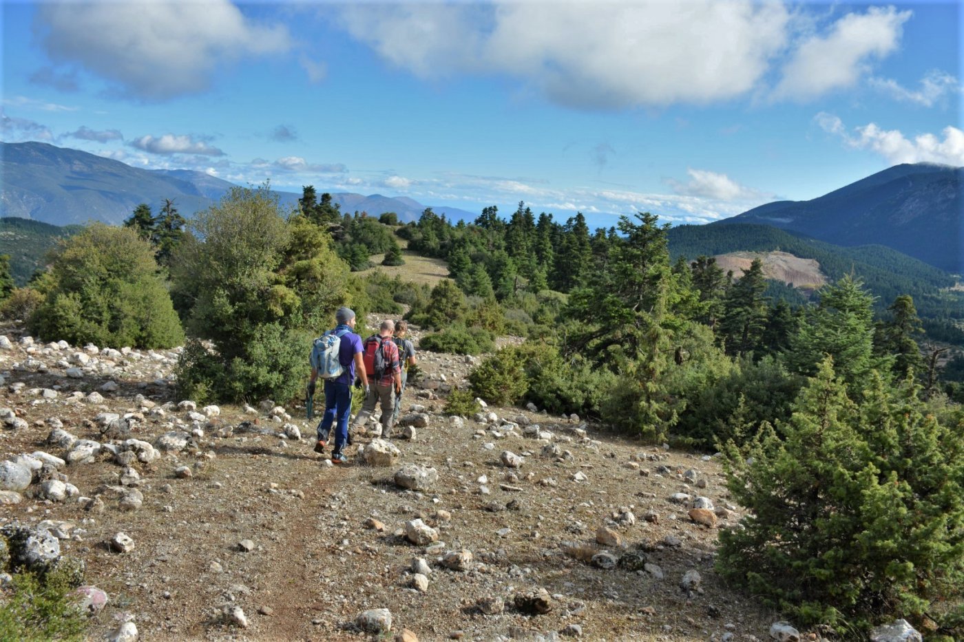 Giona mt / Start of a 2 months volunteering camp / Opening & digging the Pindus trail stitching paths