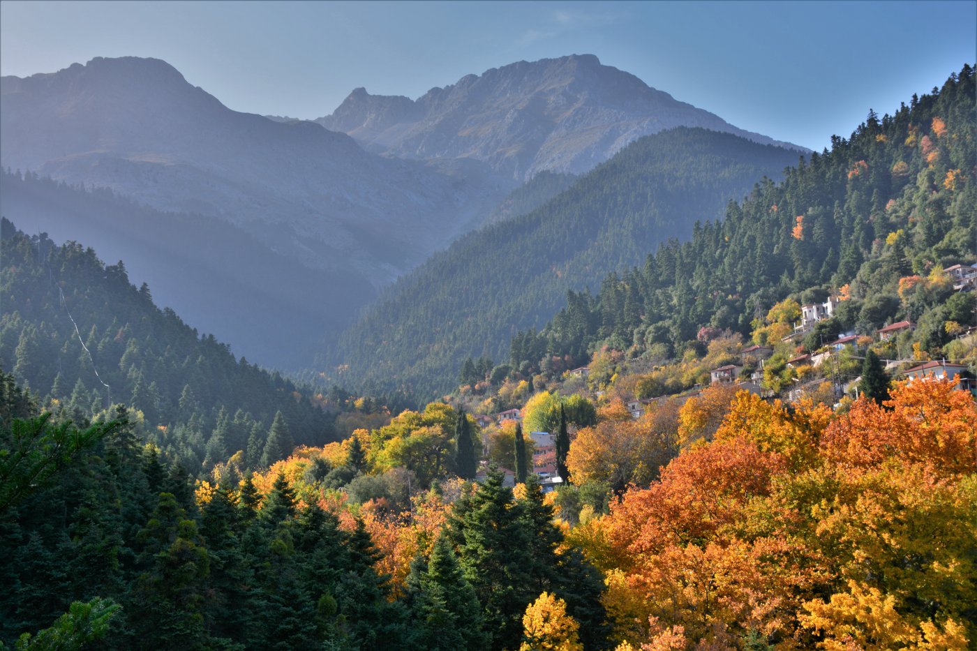 N.E. Vardousia / Opening the lost Mousounitsa - Sikia forest path / Pindus trail