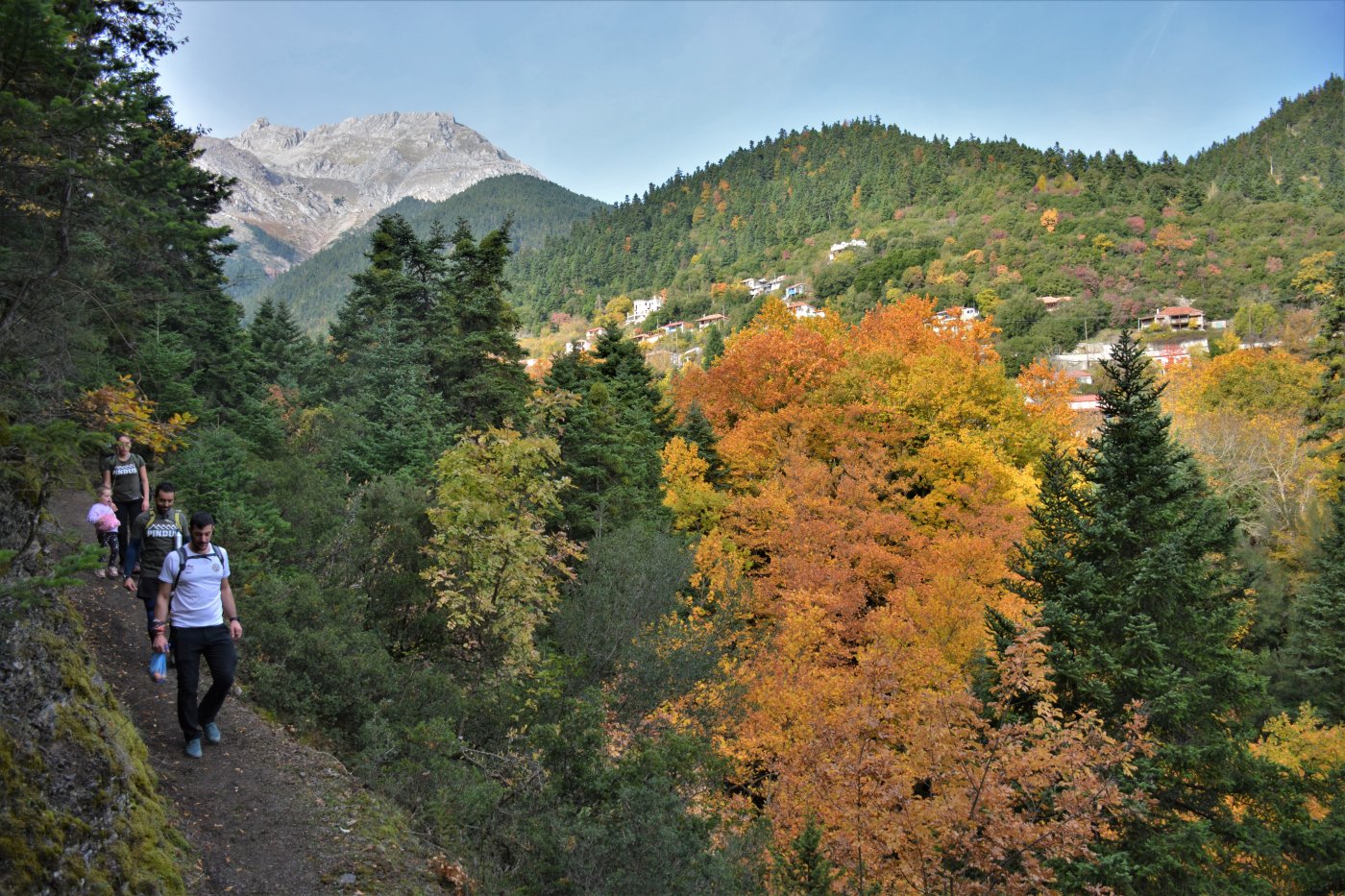 N.E. Vardousia / Opening the lost Mousounitsa - Sikia forest path / Pindus trail